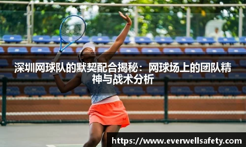 mk体育官网入口